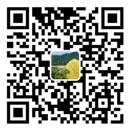 彩王争霸官网
